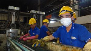 LÀM SẠCH LÔ ANILOX TRONG QUÁ TRÌNH IN