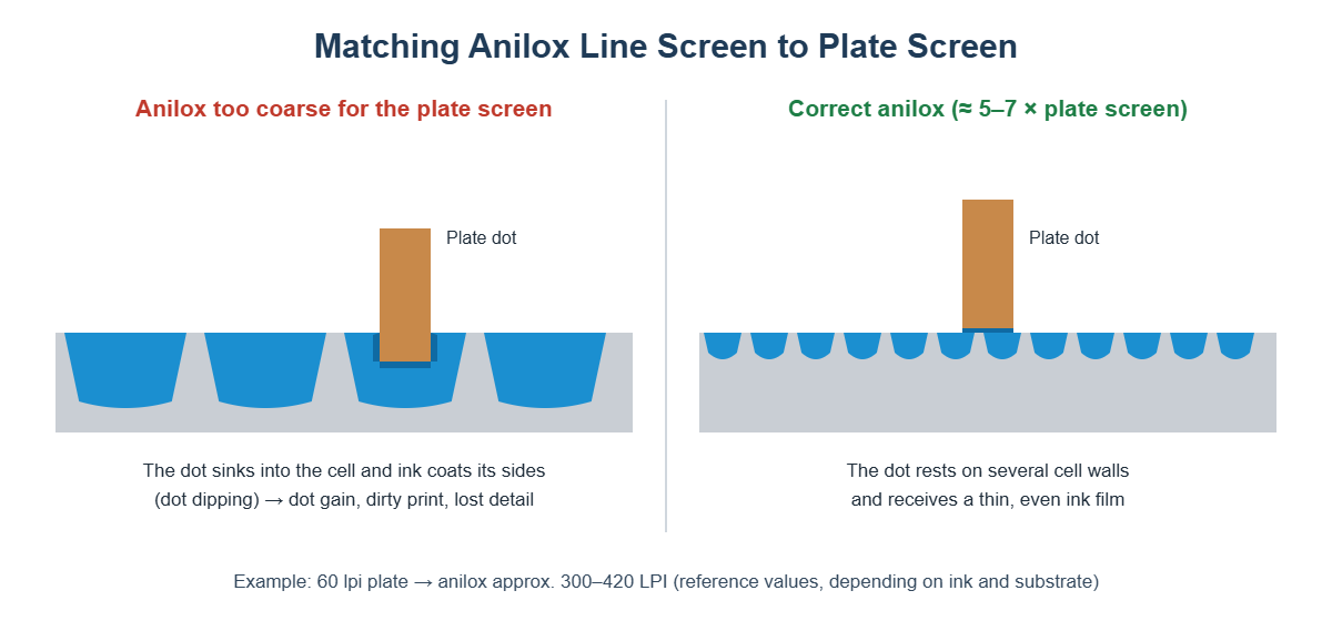 Anilox too coarse causing dot dipping compared with a correct anilox line screen