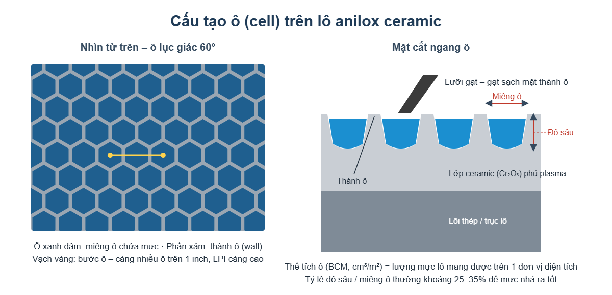 Cấu tạo ô cell lục giác 60 độ và mặt cắt ngang lô anilox ceramic