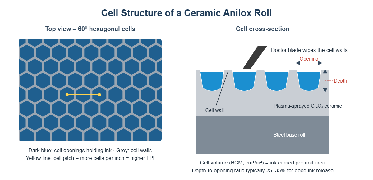 60 degree hexagonal cells and cross-section of a ceramic anilox roll