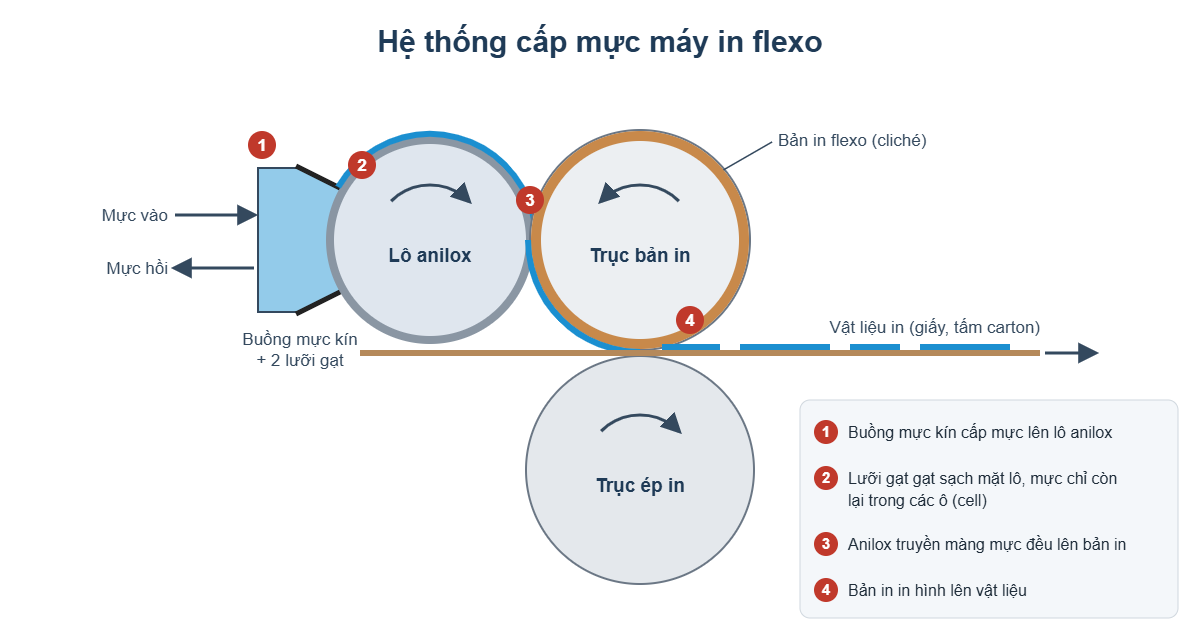 Sơ đồ hệ thống cấp mực máy in flexo với lô anilox và buồng mực kín