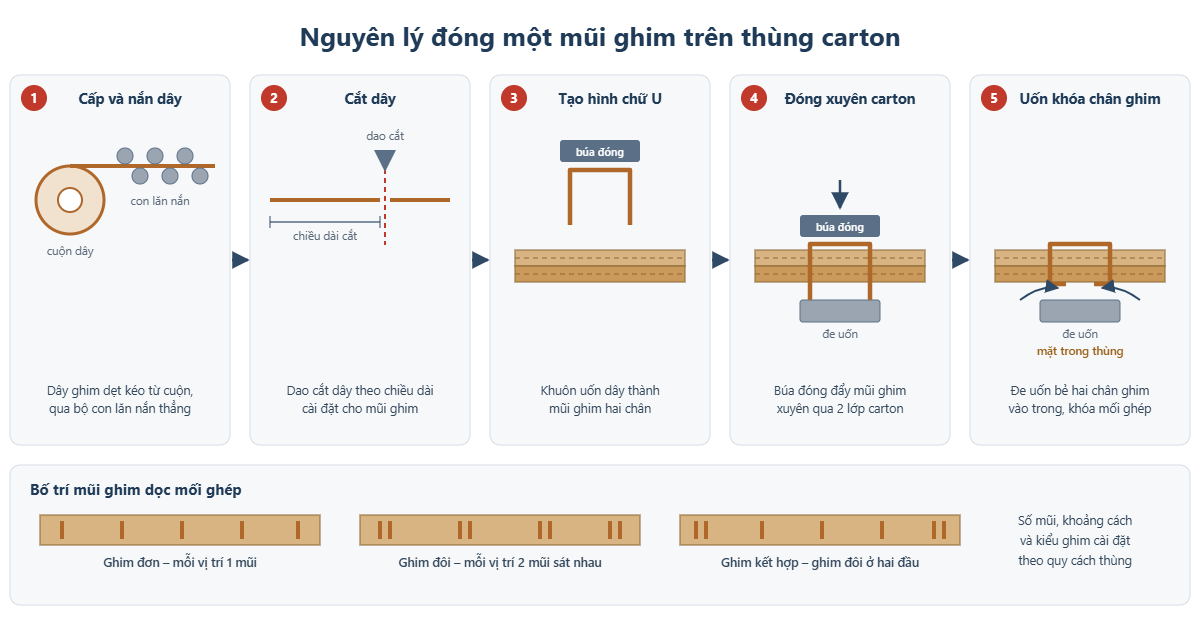 Nguyên lý đóng một mũi ghim trên thùng carton